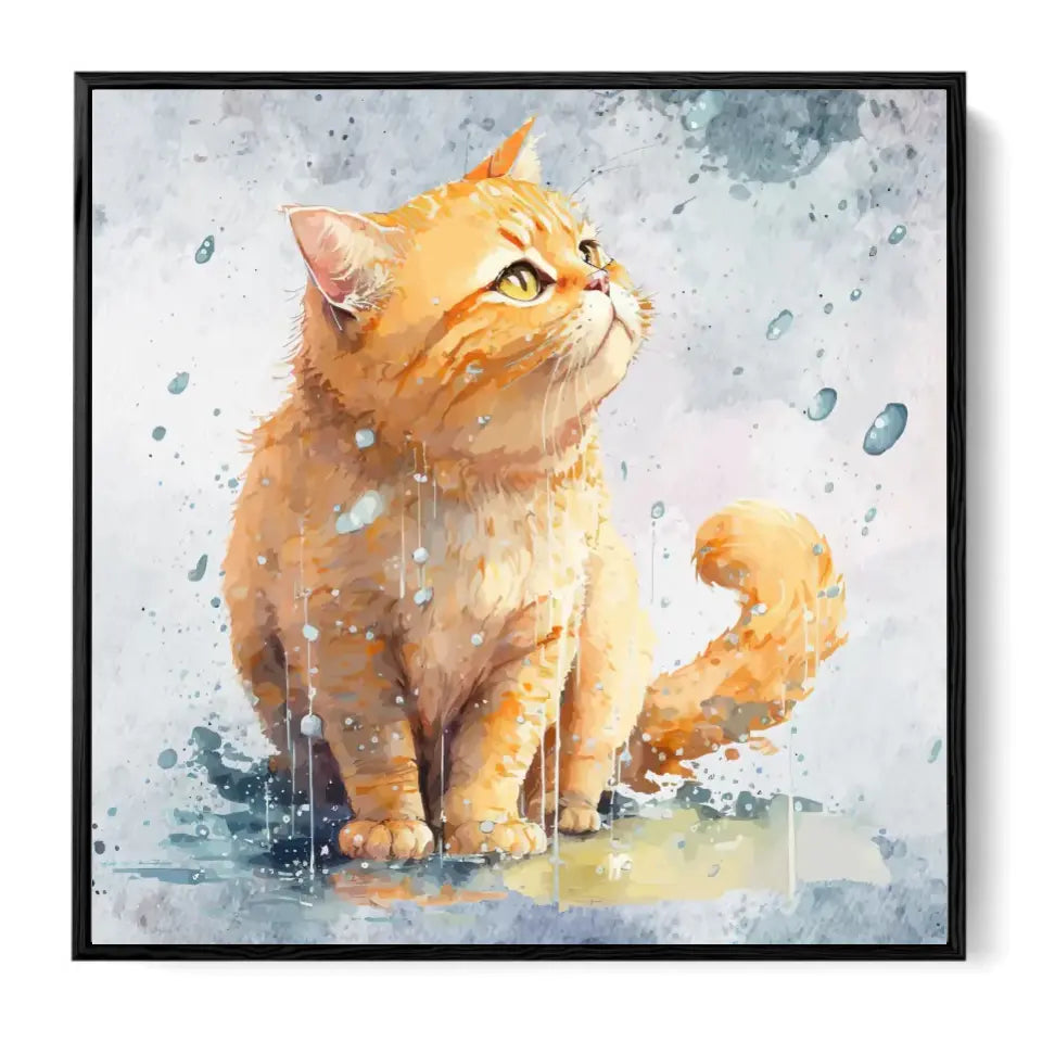 Sweet Cat in the rain