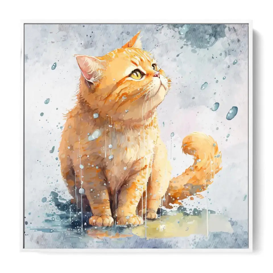 Sweet Cat in the rain