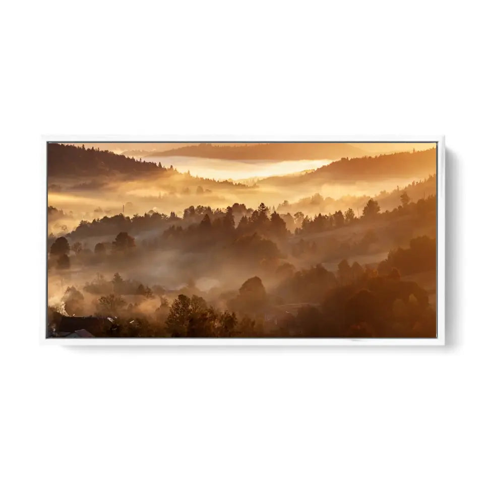 Morning forest landscape with fog