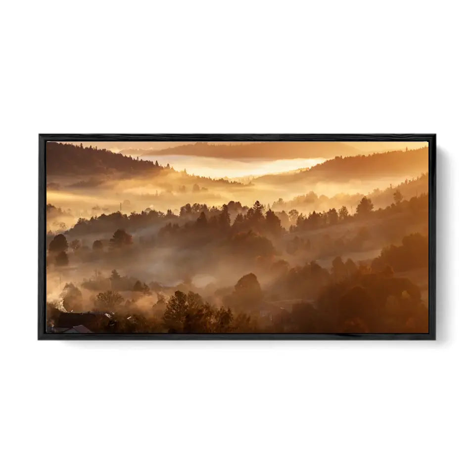 Morning forest landscape with fog