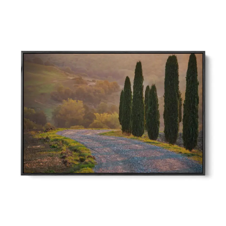 Cypresses and a road in Tuscany