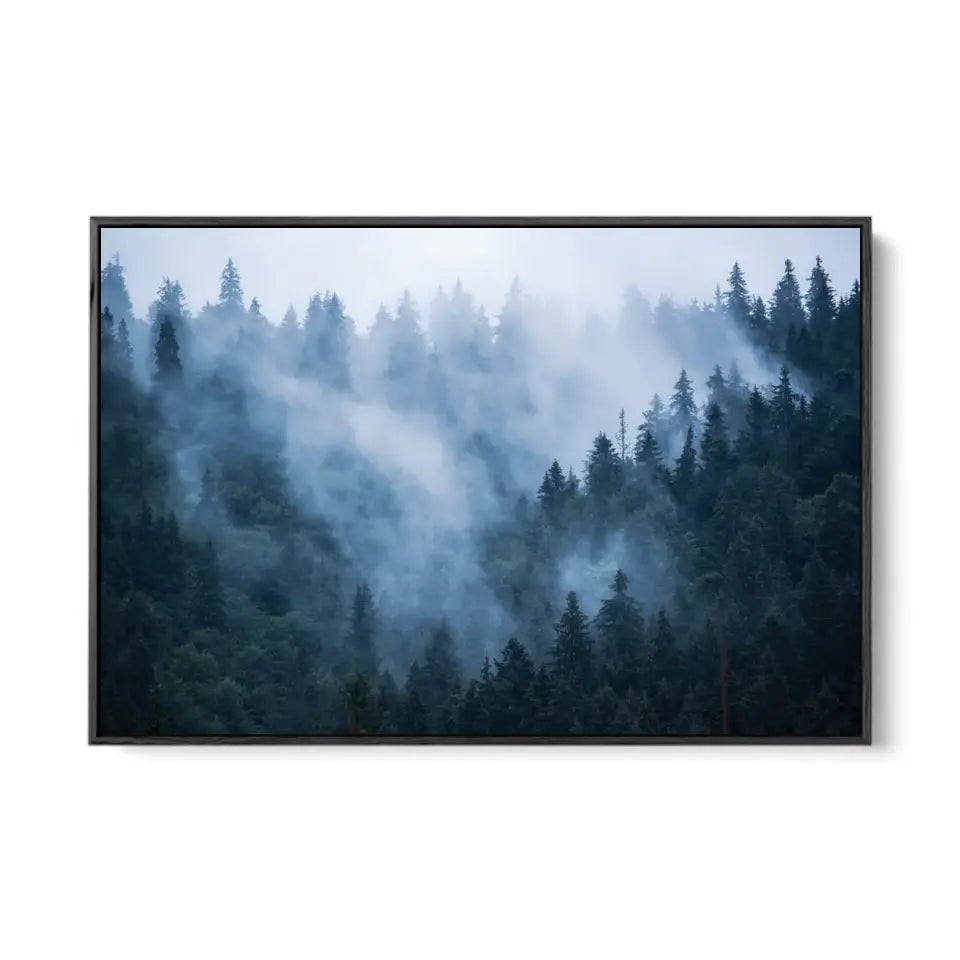 Fir forest in foggy landscape