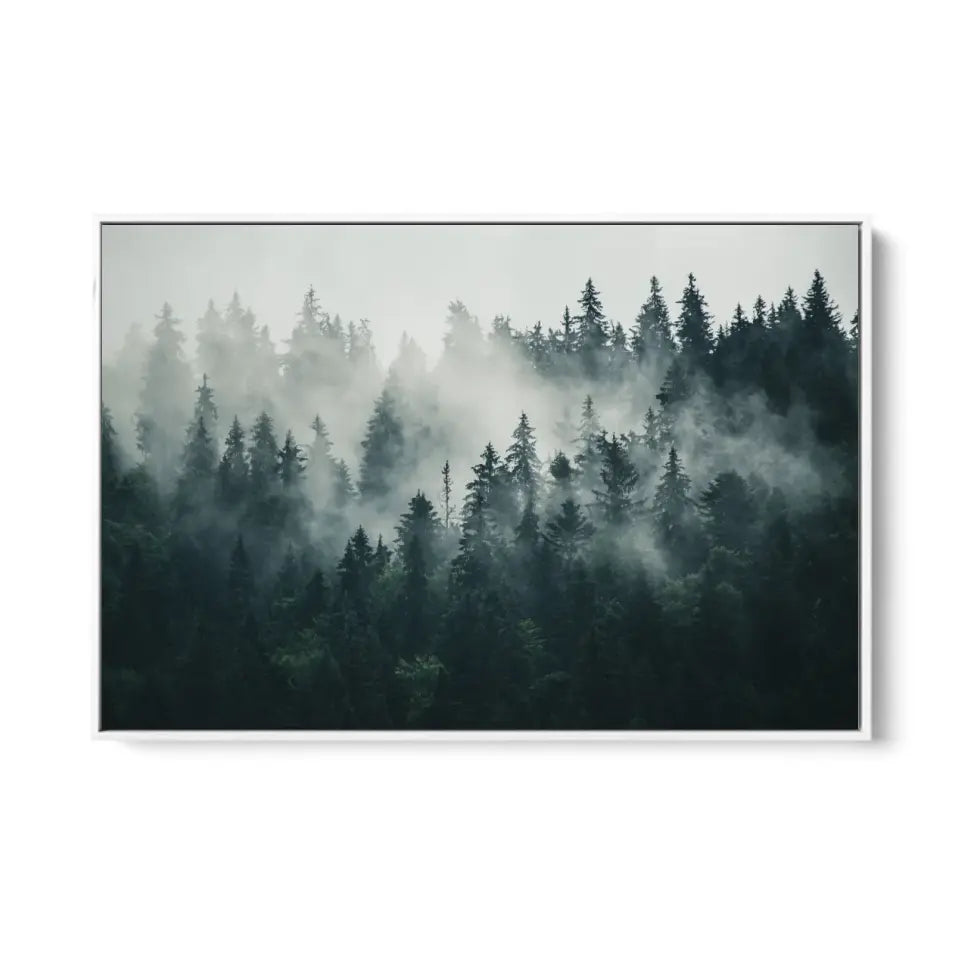 Foggy forest landscape