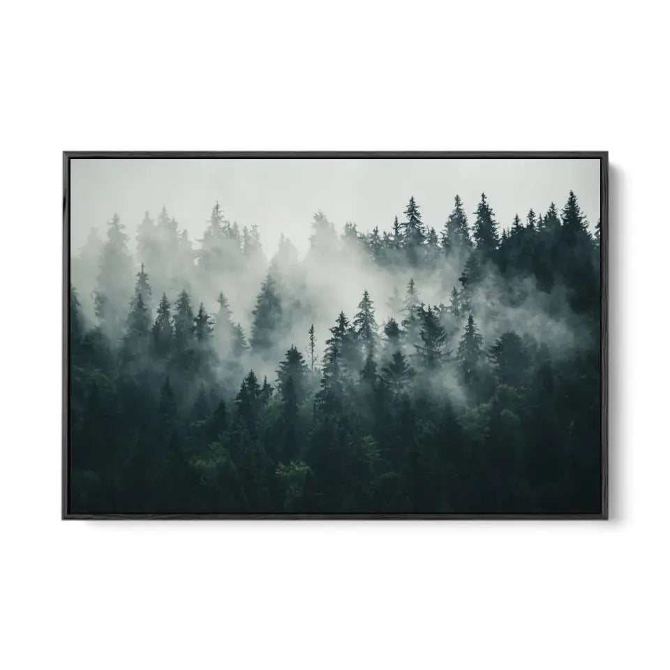 Foggy forest landscape