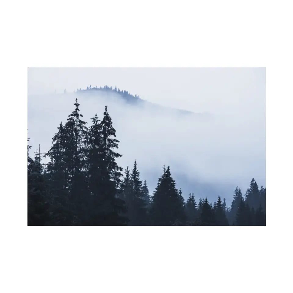 Foggy landscape with mountains and fir forest