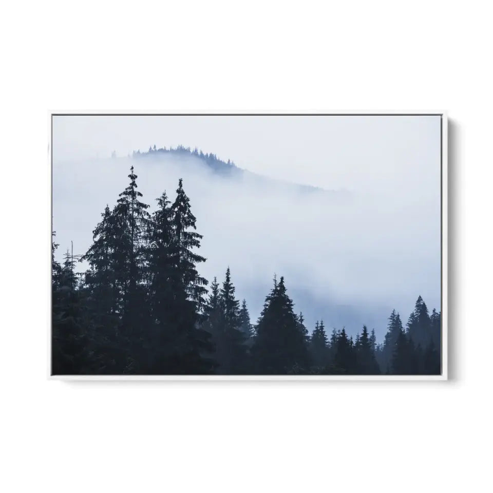 Foggy landscape with mountains and fir forest