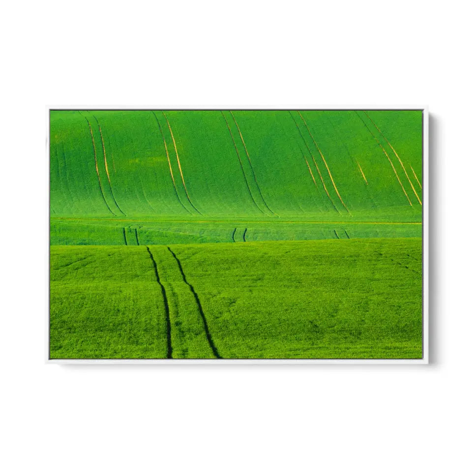 Green grass wavy fields with tracks