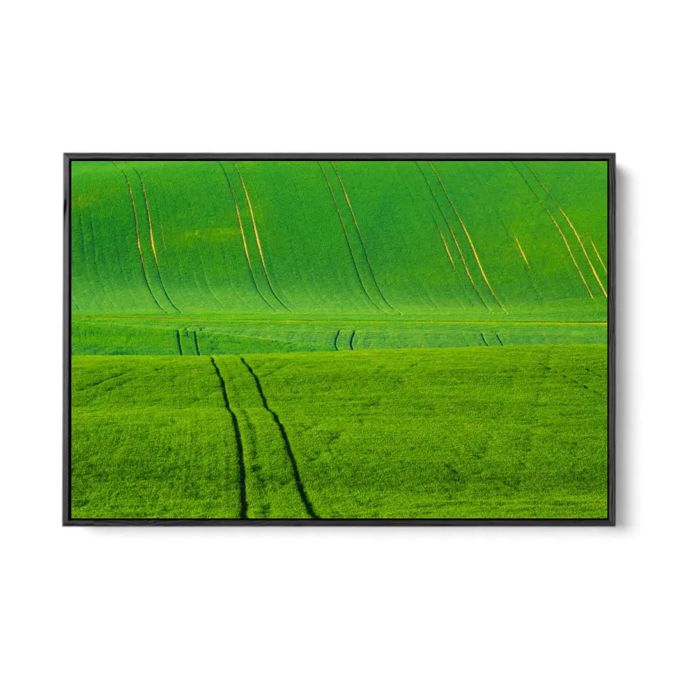 Green grass wavy fields with tracks