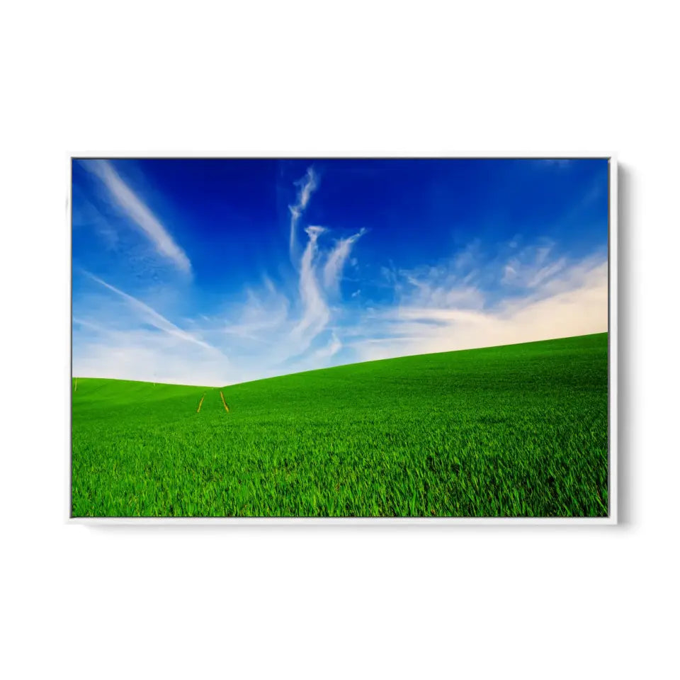 Idyllic landscape with green grass and cloudy blue sky