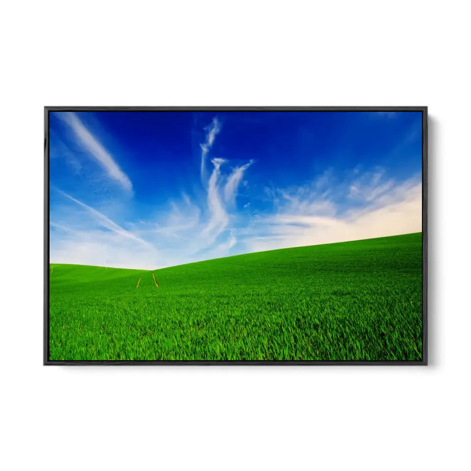 Idyllic landscape with green grass and cloudy blue sky