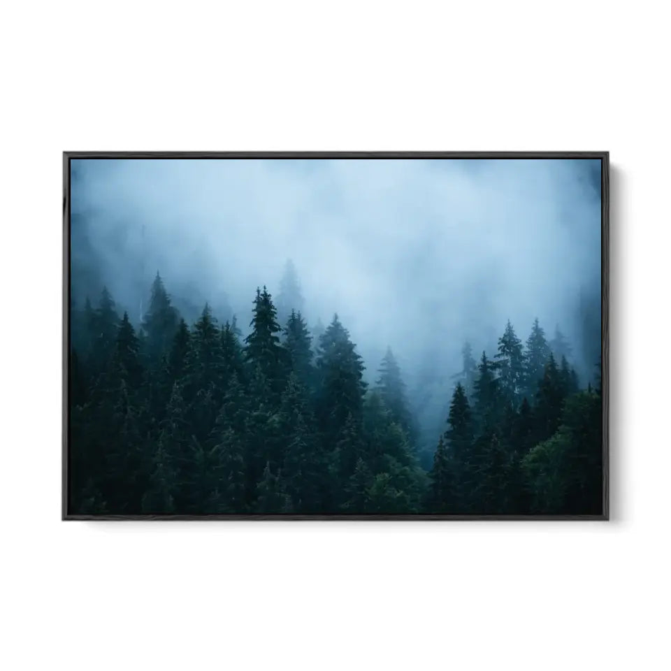 Fir forest in fog