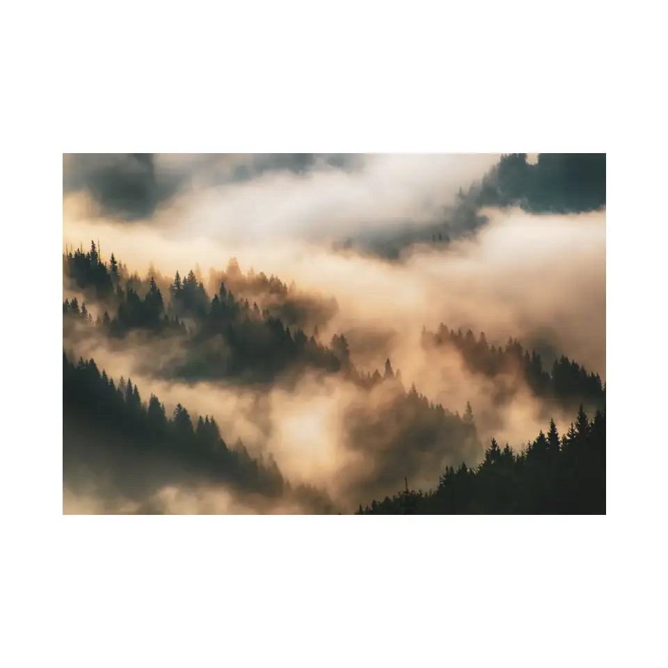 Misty landscape with mountains and fir forest