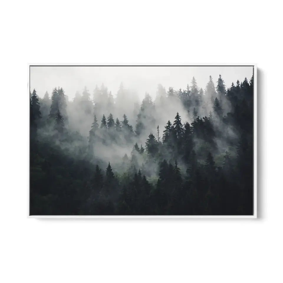 Mountain landscape and fir forest