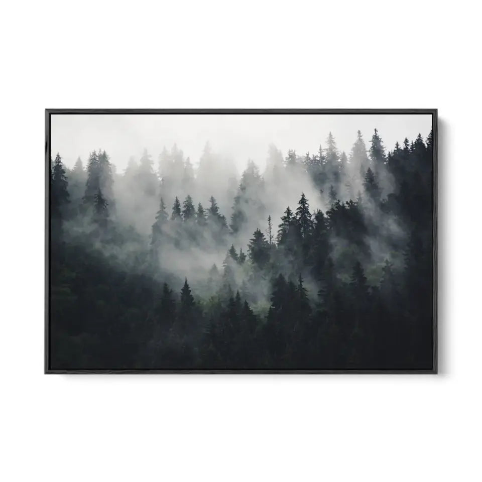 Mountain landscape and fir forest