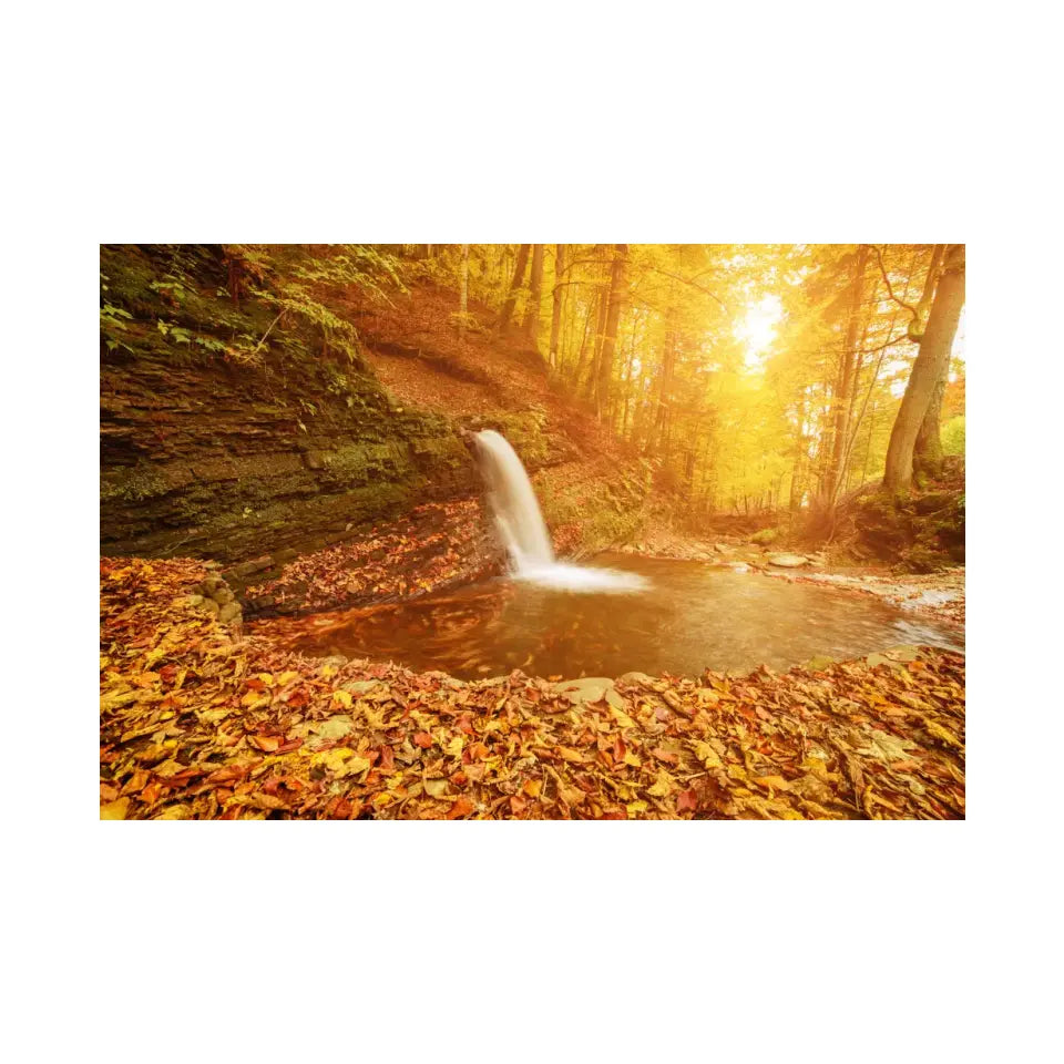 Mountain waterfall with colorful red fallen dry leaves