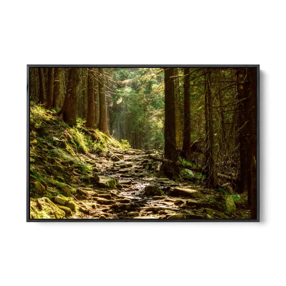 Summer moody forest with path and green trees