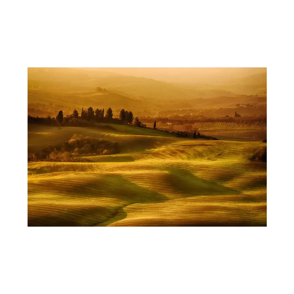 Wavy fields in Tuscany at sunrise