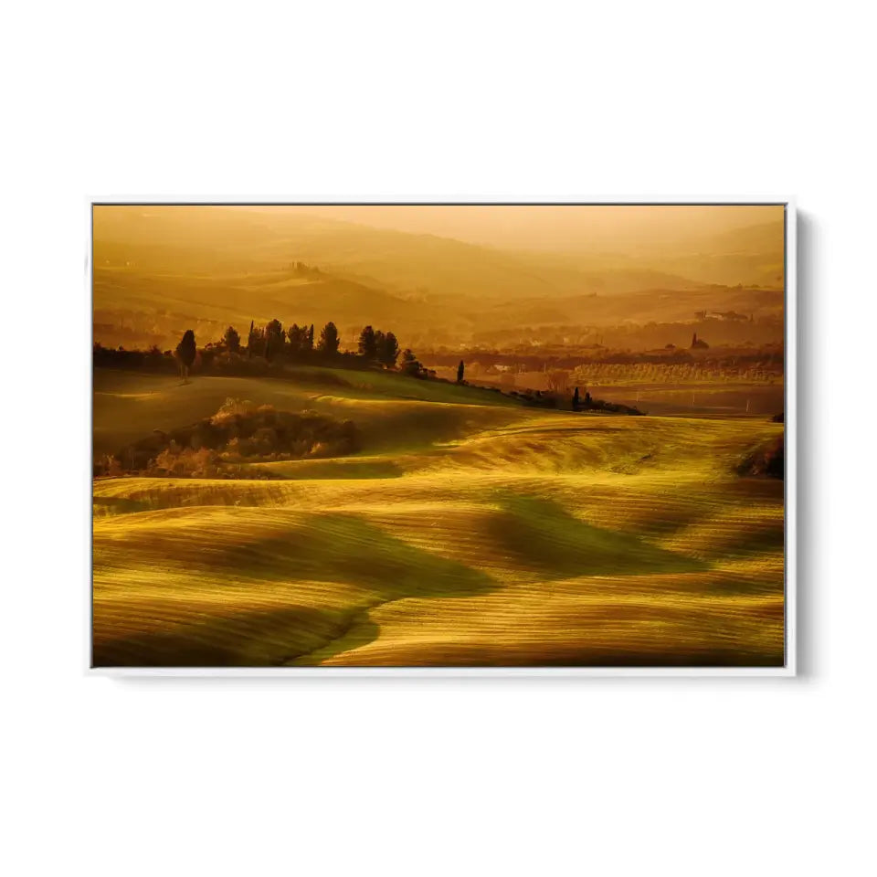 Wavy fields in Tuscany at sunrise