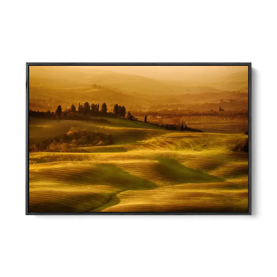 Wavy fields in Tuscany at sunrise