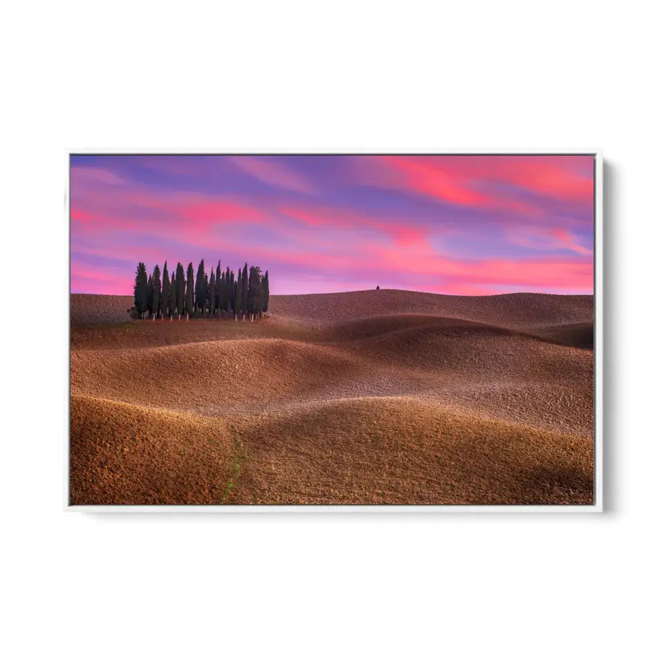 Tuscany landscape with cypress and earth waves at sunset