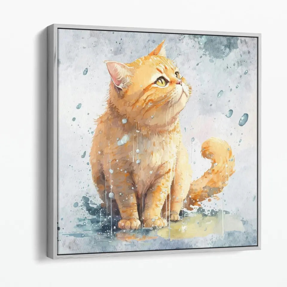 Sweet Cat in the rain