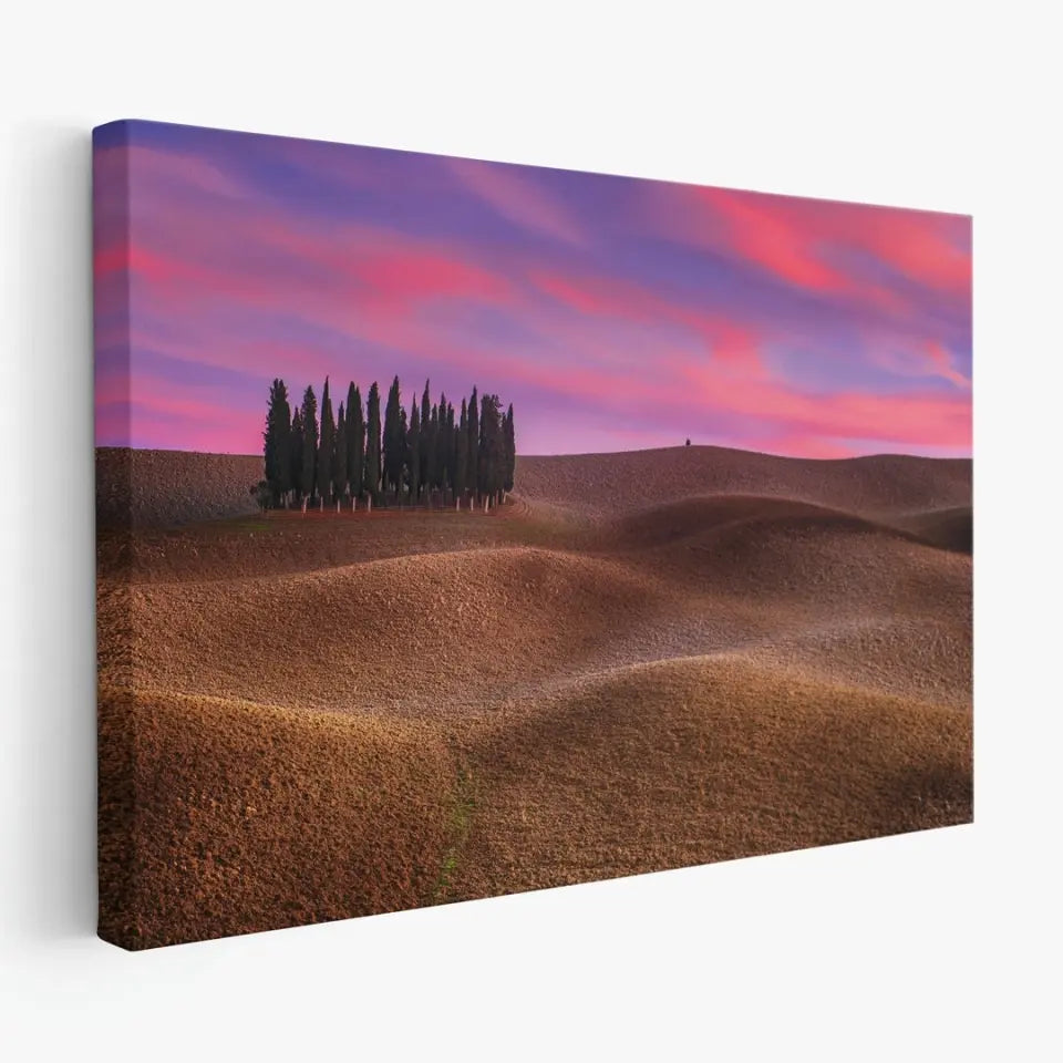 Tuscany landscape with cypress and earth waves at sunset