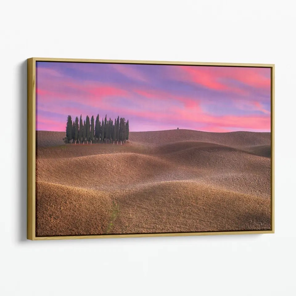 Tuscany landscape with cypress and earth waves at sunset