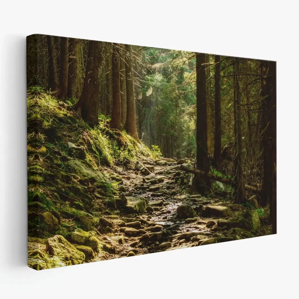 Summer moody forest with path and green trees