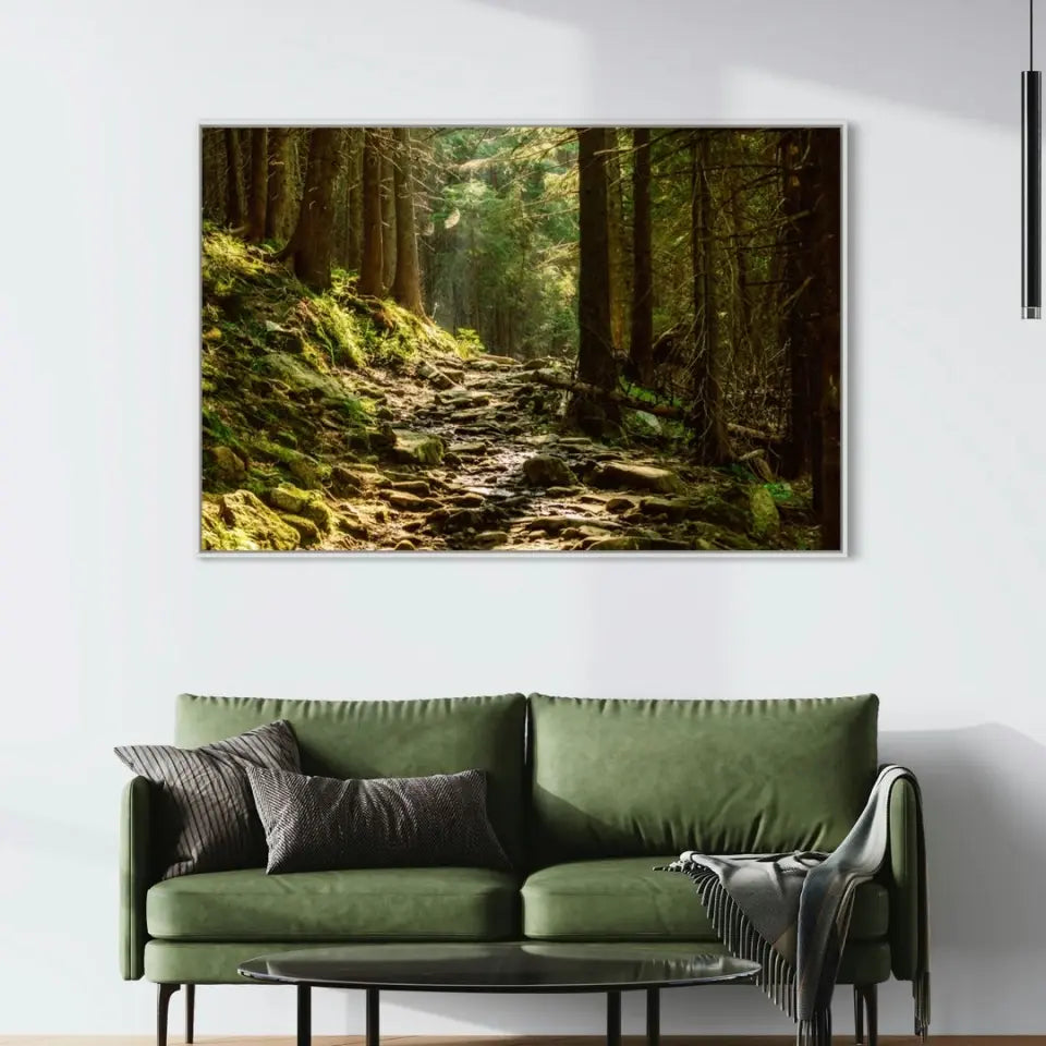 Summer moody forest with path and green trees
