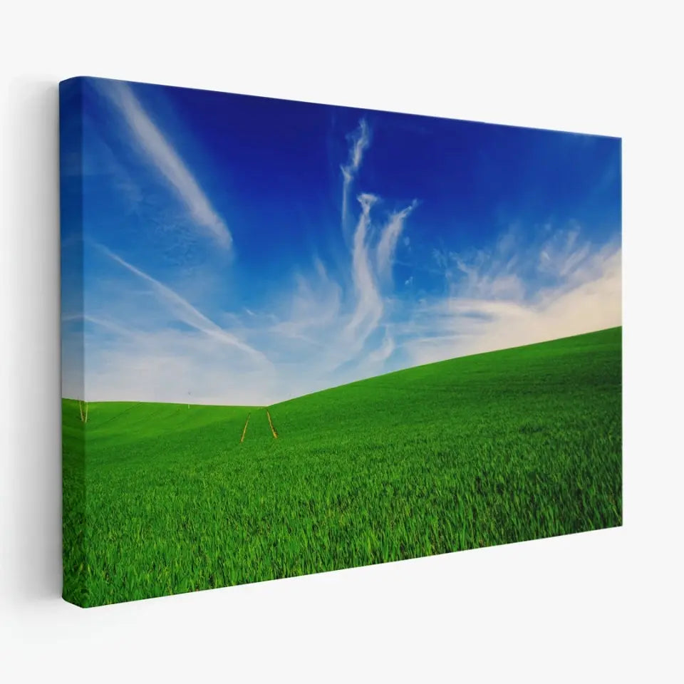 Idyllic landscape with green grass and cloudy blue sky