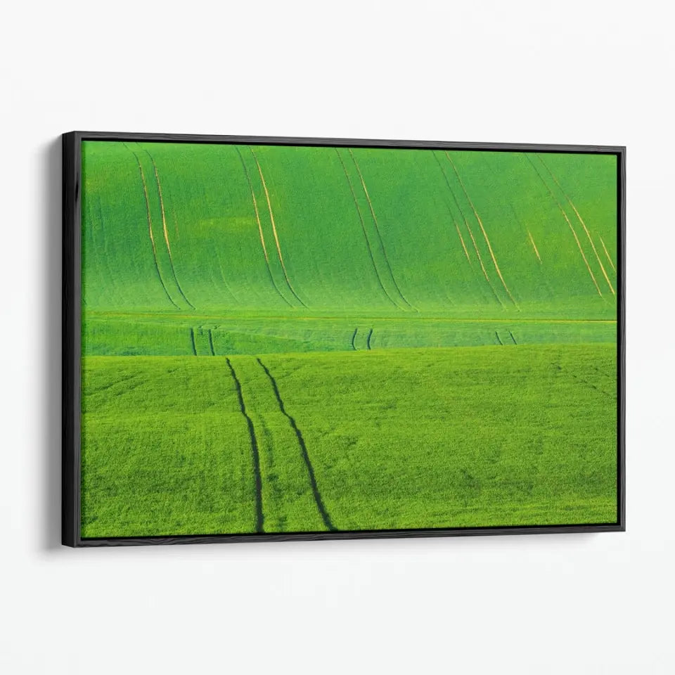 Green grass wavy fields with tracks