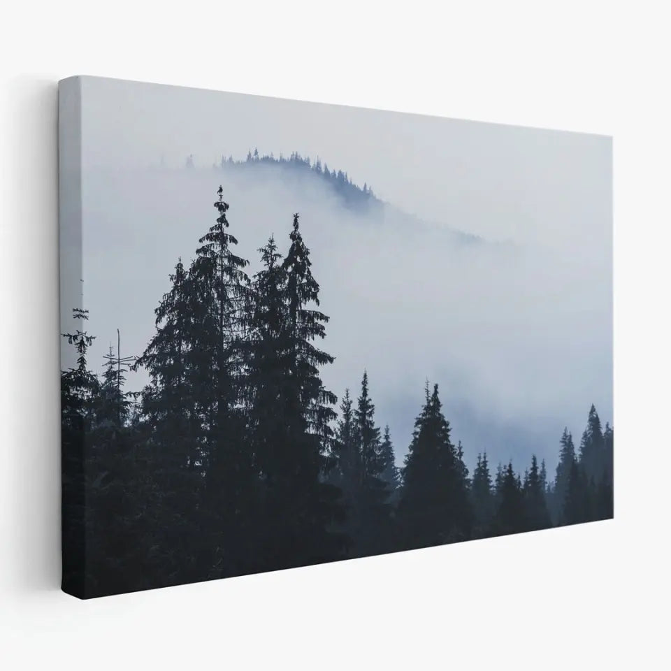 Foggy landscape with mountains and fir forest