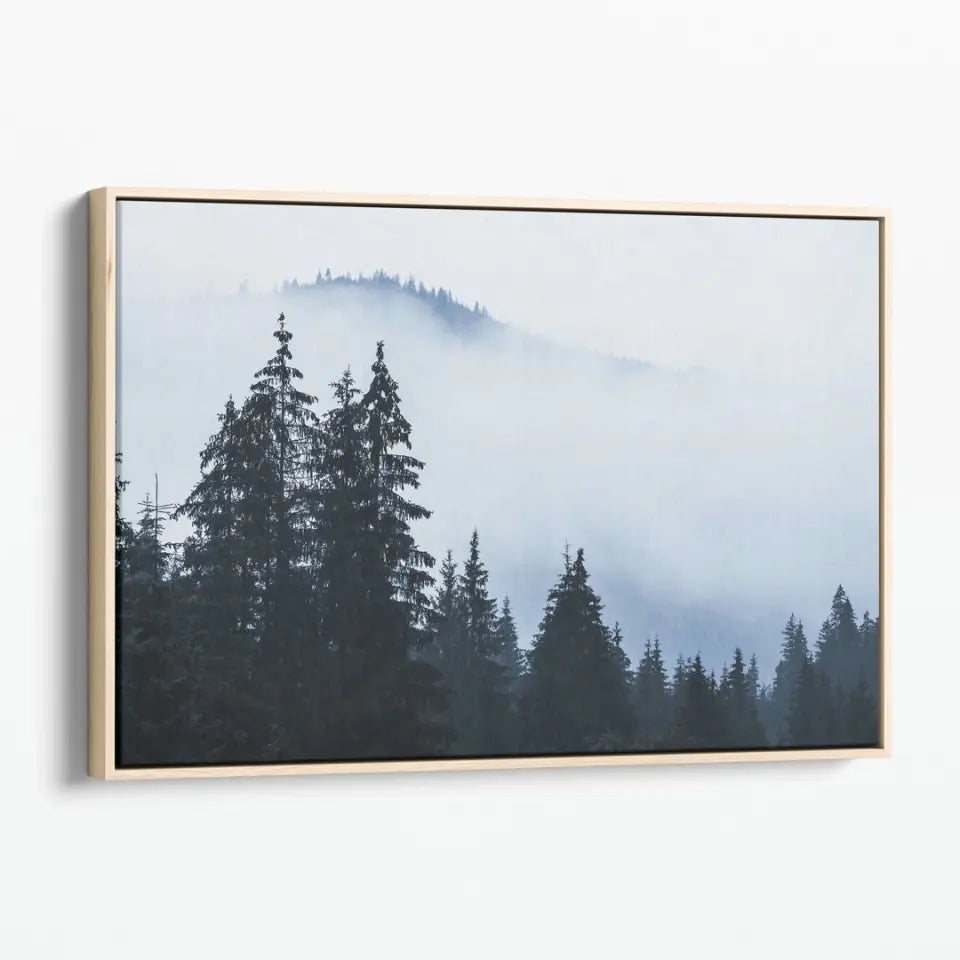 Foggy landscape with mountains and fir forest