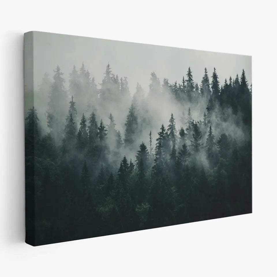 Foggy forest landscape