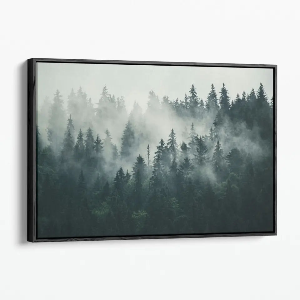 Foggy forest landscape