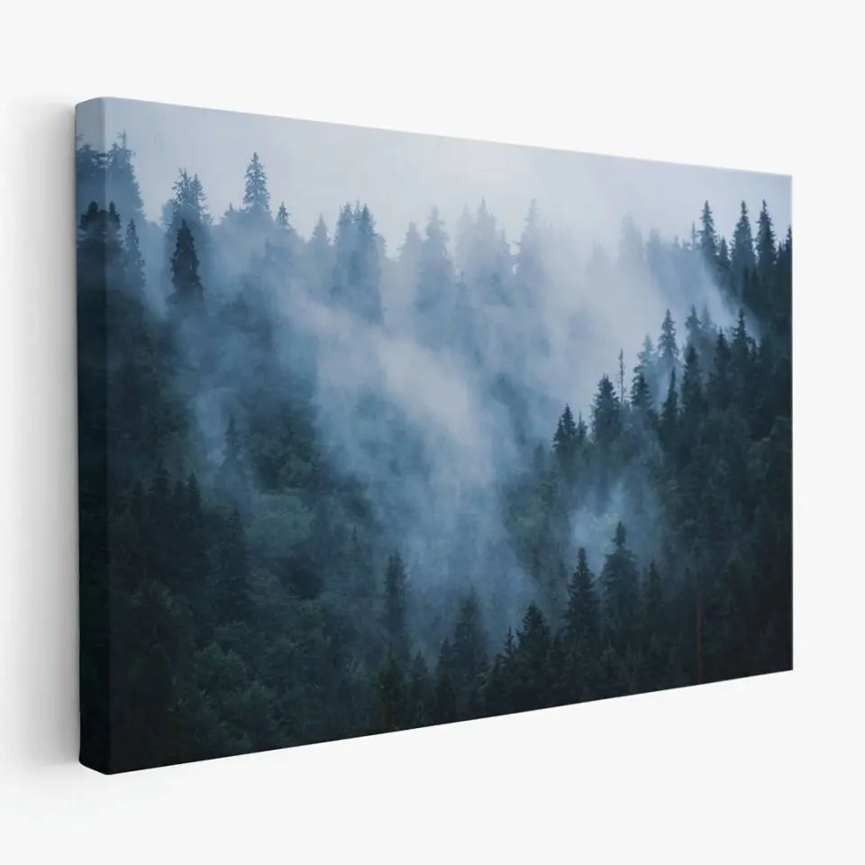 Fir forest in foggy landscape