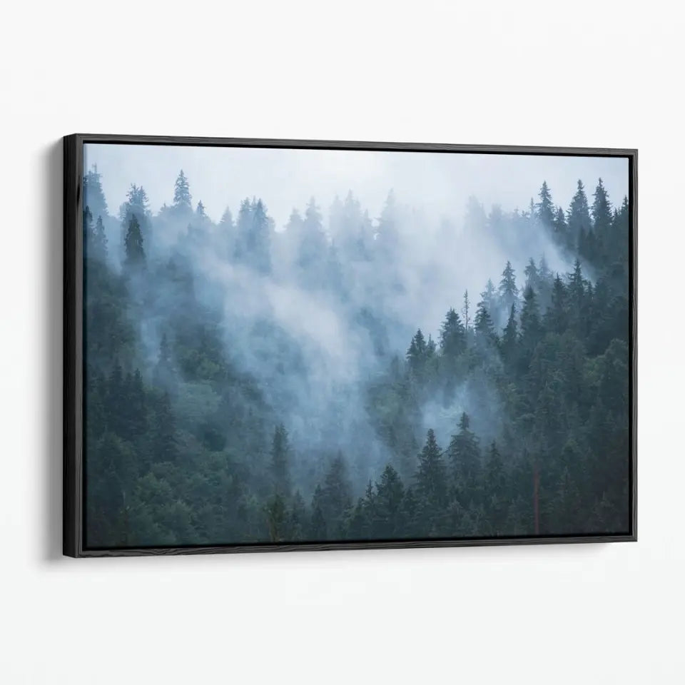 Fir forest in foggy landscape