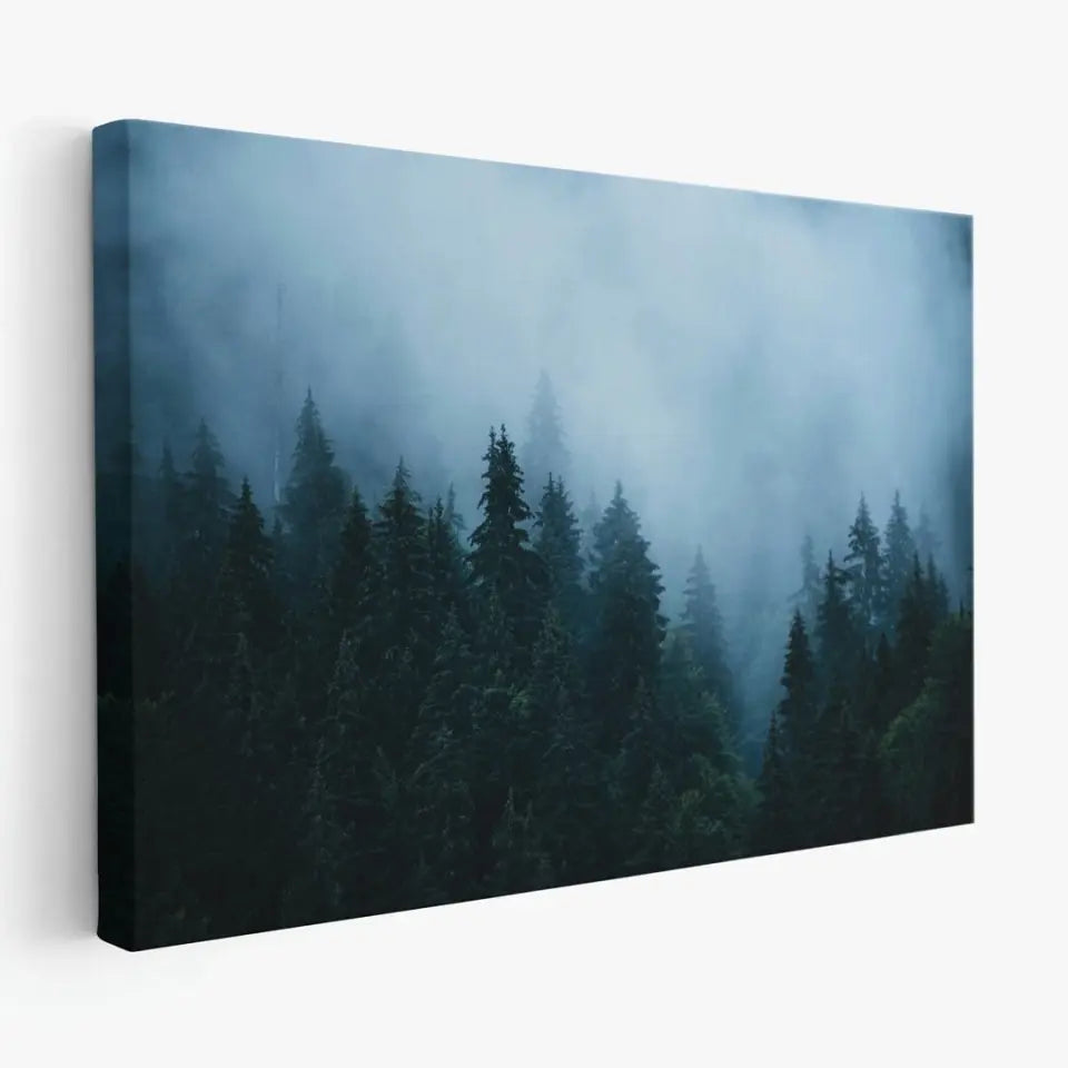 Fir forest in fog