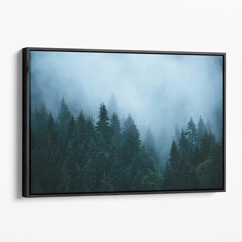 Fir forest in fog