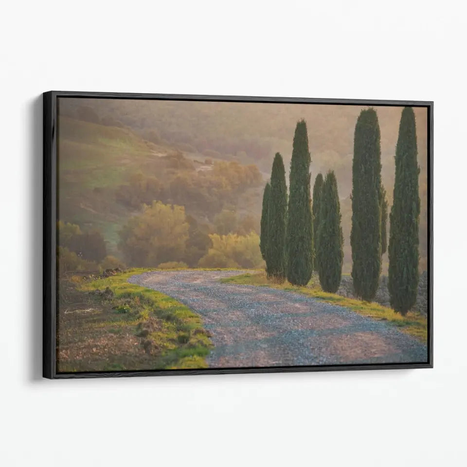 Cypresses and a road in Tuscany