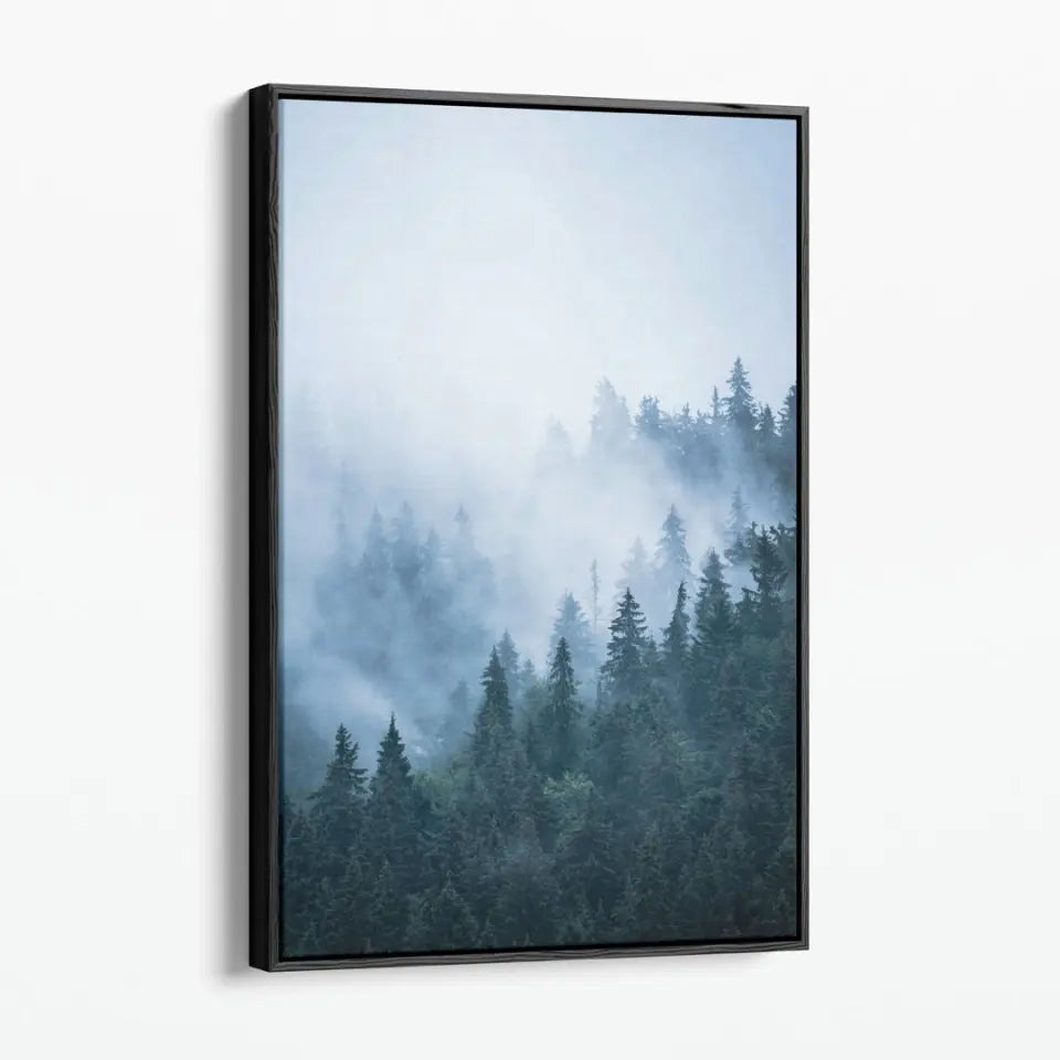 Foggy morning in fir forest