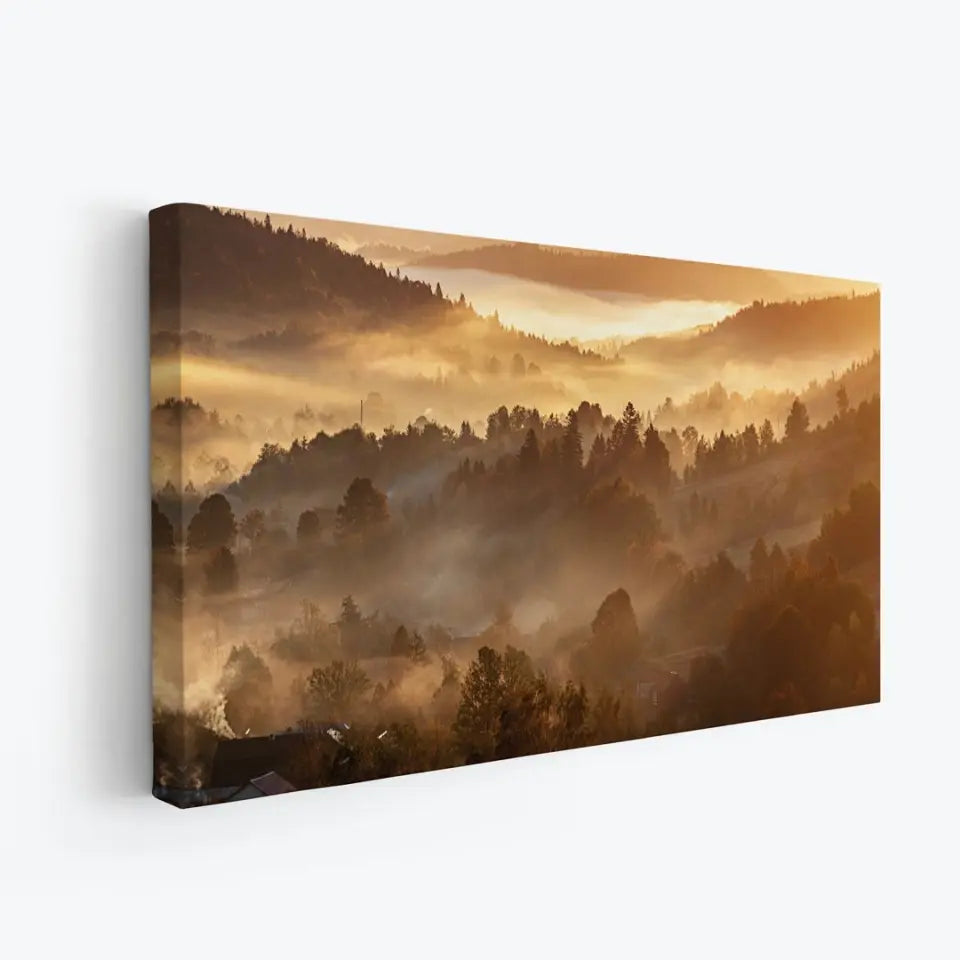 Morning forest landscape with fog